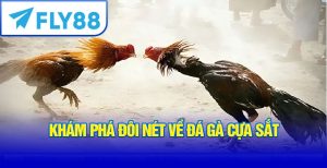 Khám phá đôi nét về đá gà cựa sắt